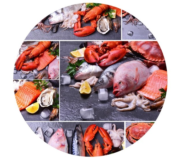 An array of fresh seafood options.